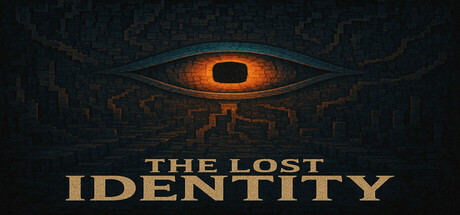 Image for The Lost Identity