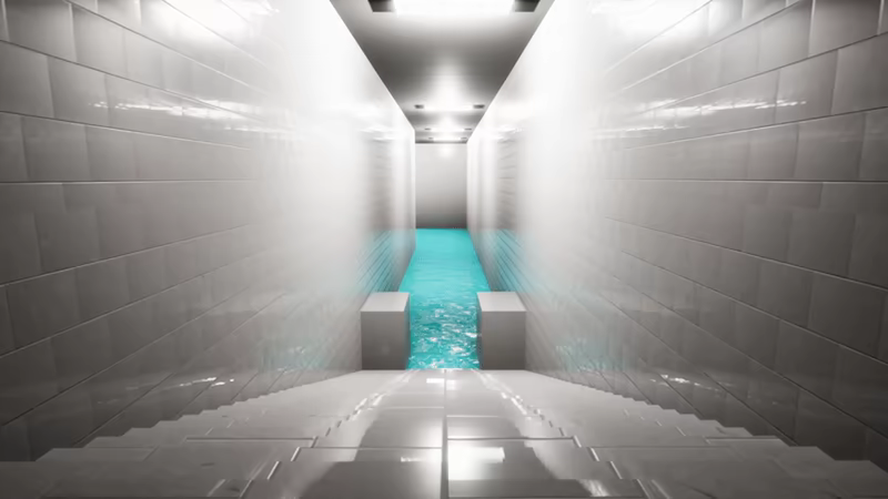 AQUARIUMS video 2
