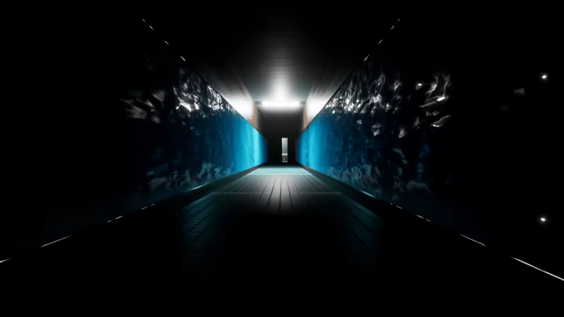AQUARIUMS video 1