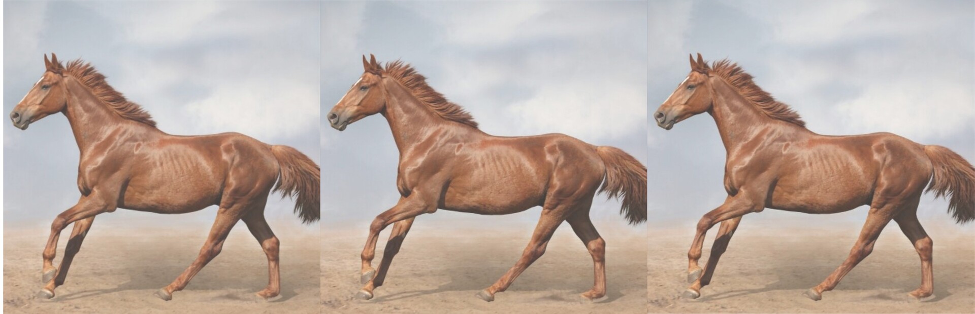 hgmGame-horse