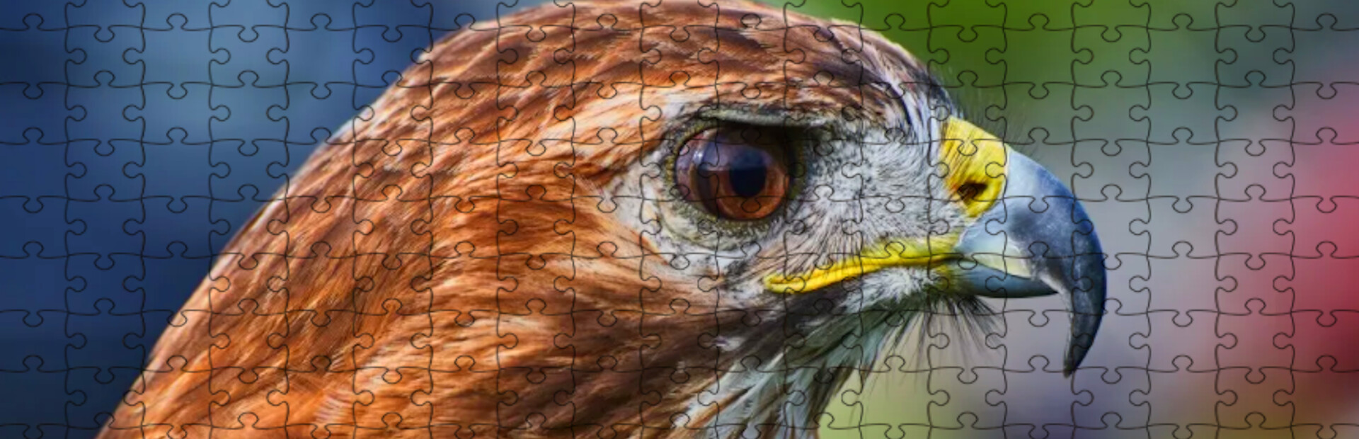 Whispers of Wings Jigsaw Puzzles