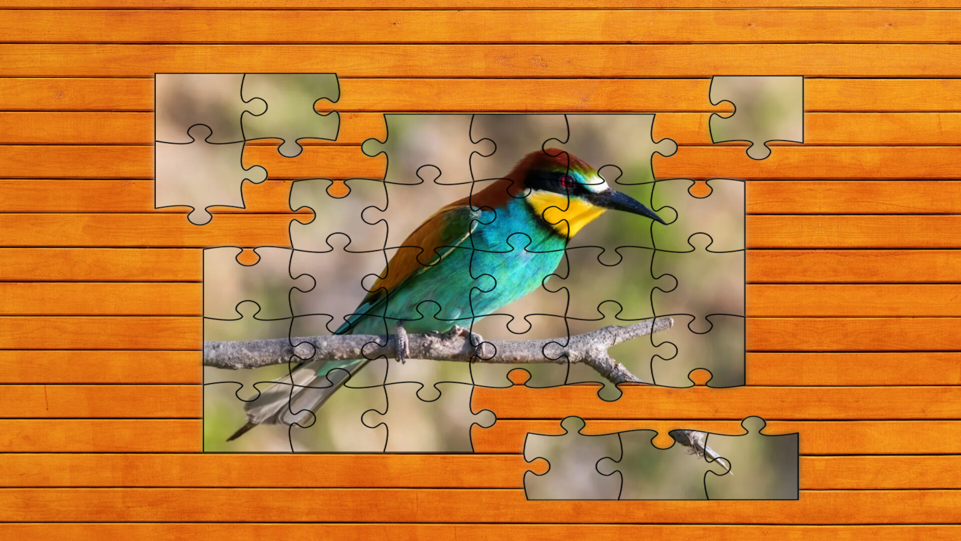 Whispers of Wings Jigsaw Puzzles screenshot #3