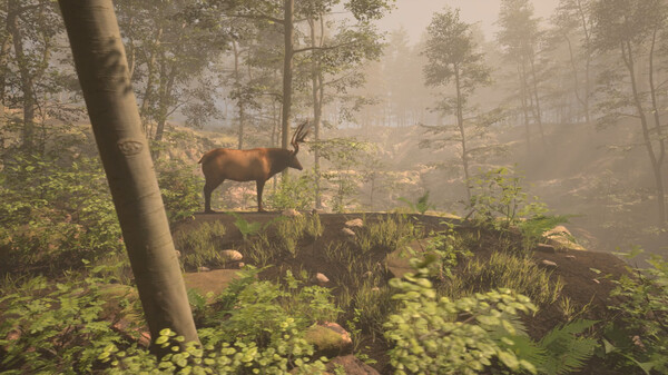 Red Rust Pioneers: Multiplayer Western Survival Simulator Screenshot