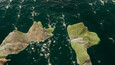 Screenshot #9