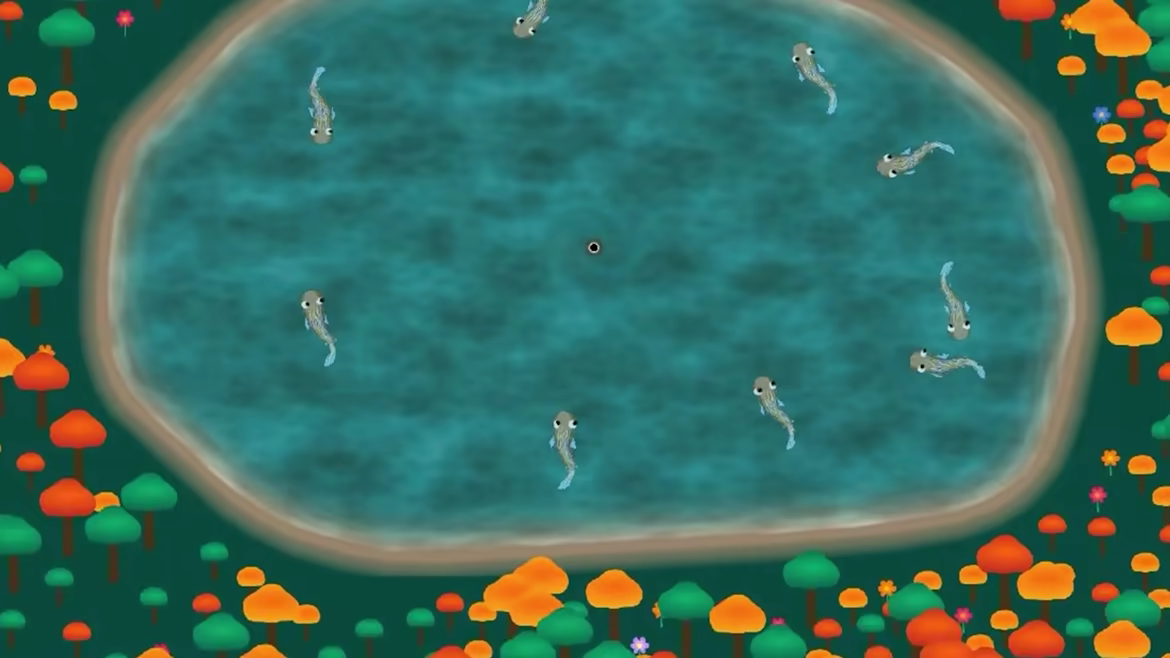 Black Hole Fishing video 4