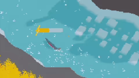 Chinook video 1