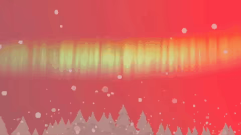 Chinook video 4