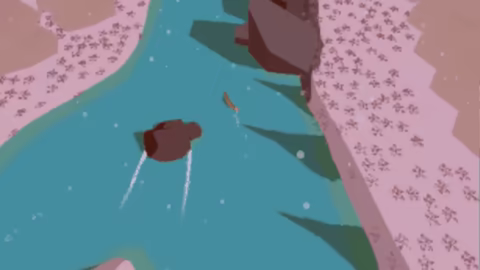 Chinook video 3