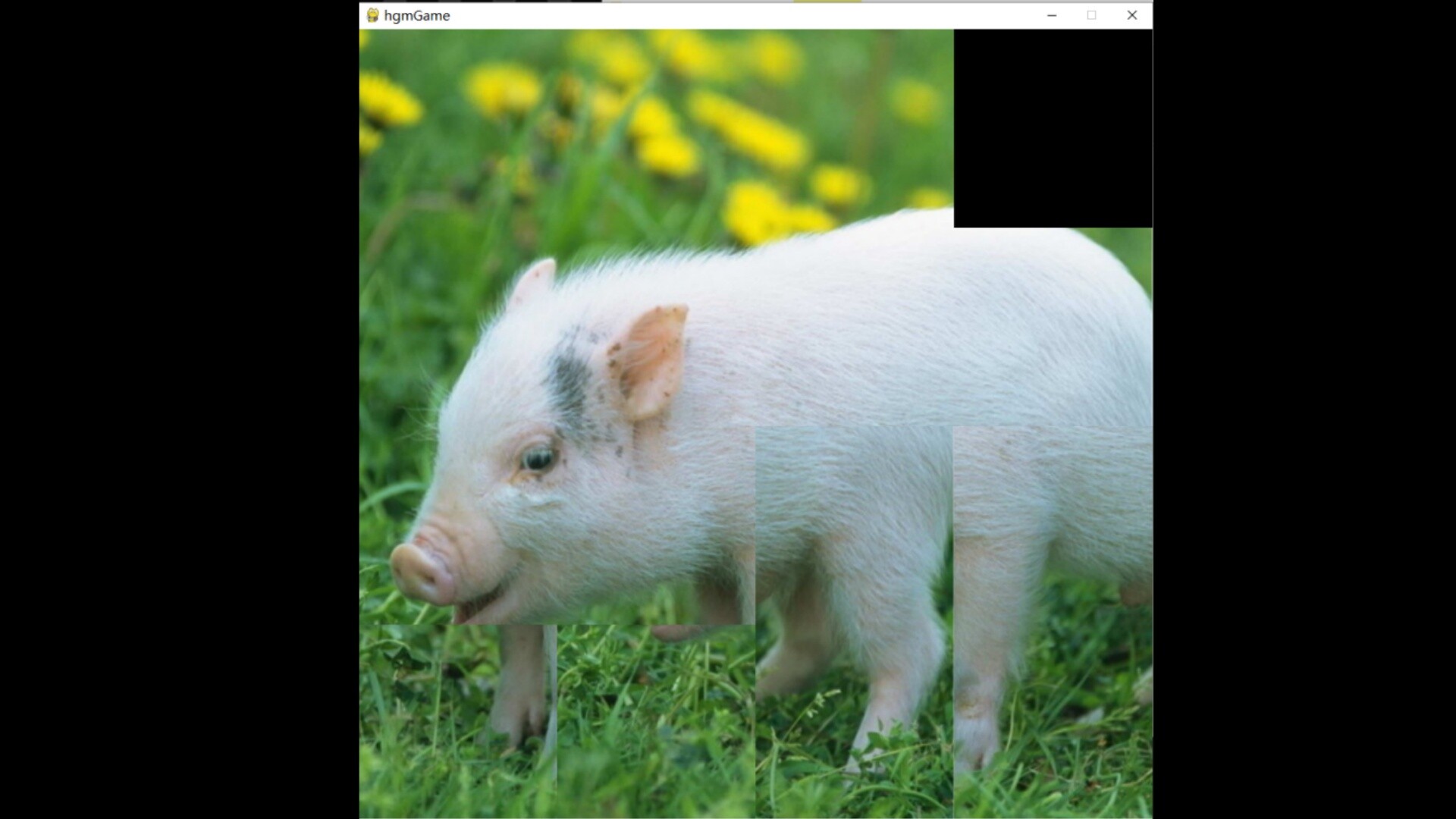 hgmGame-pig