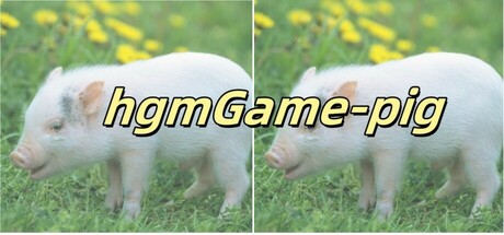 hgmGame-pig cover art