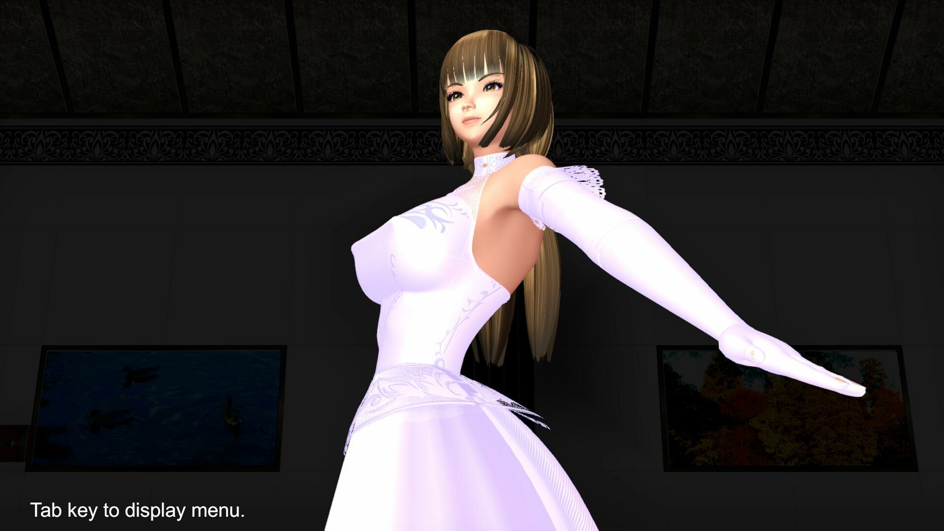 MAIDOMINA VR