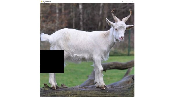 hgmGame-sheep screenshot 5