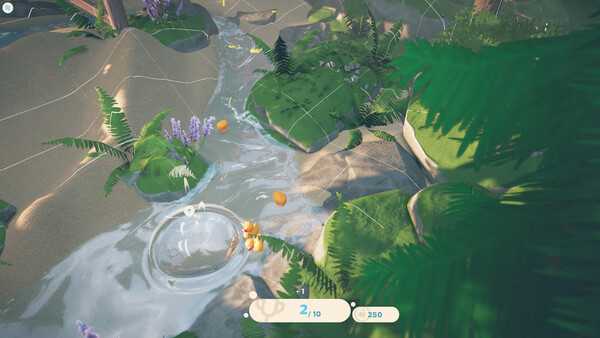 Babbling Brook