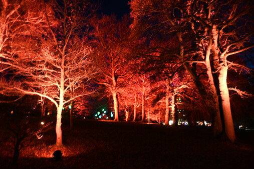 Survive: Gothic Hoard Playtest screenshot 2