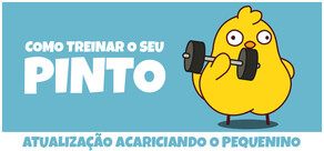 Como Treinar o Seu Pinto