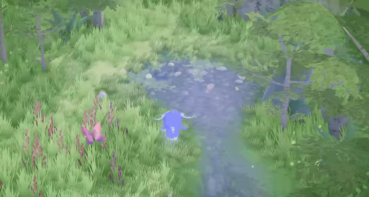 Iona's Island video 2