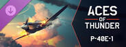DLC: Aces of Thunder - P-40E-1