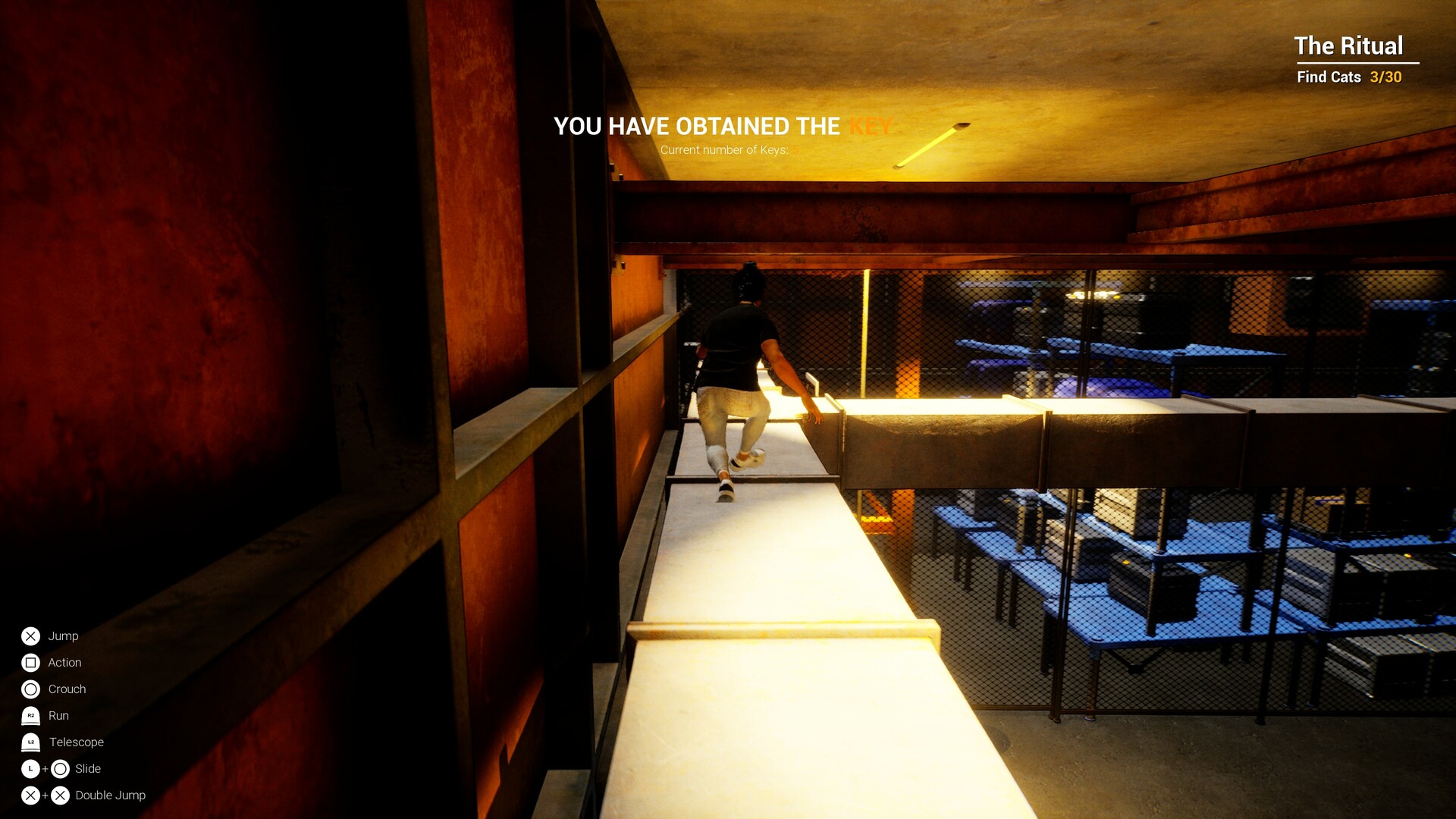 Cats Ritual screenshot #12