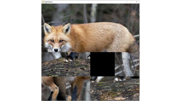 hgmGame-fox screenshot 4