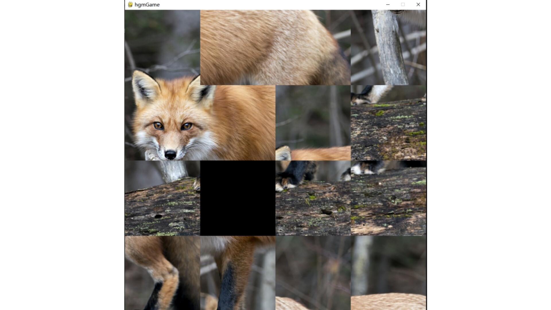hgmGame-fox Featured Screenshot #1