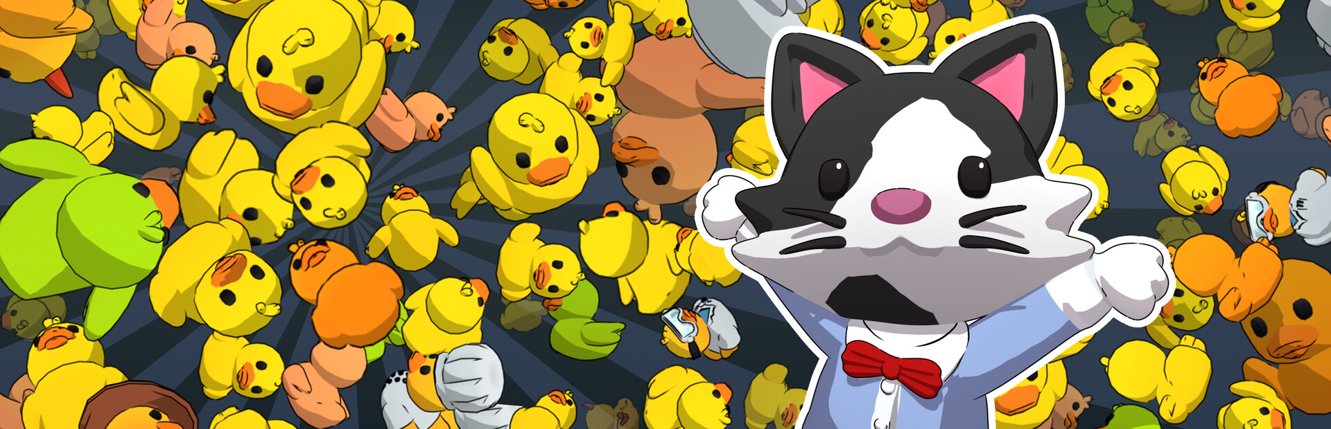 Many Ducks