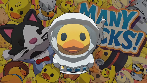 Many Ducks video 2