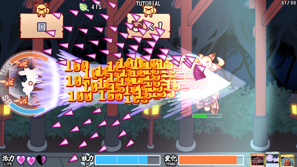 Fox Flare Night