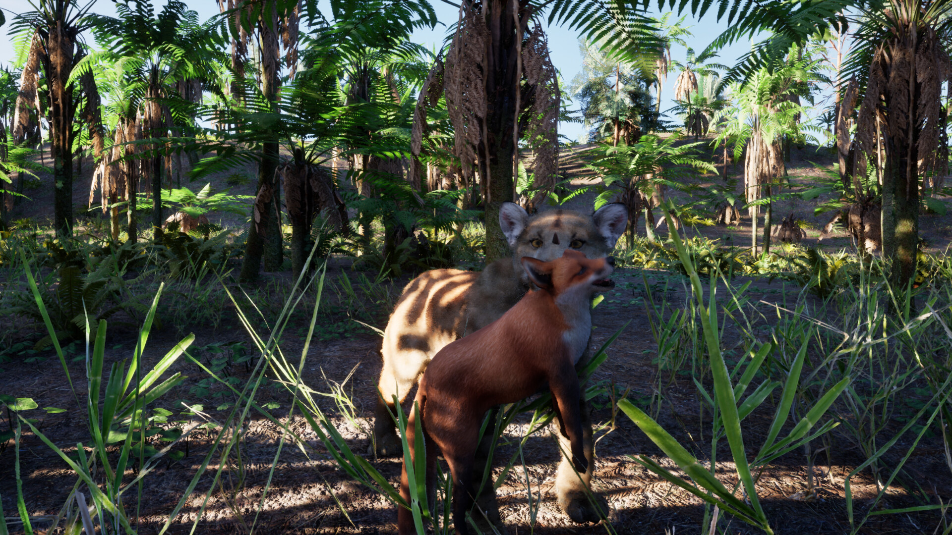 Redwood Trails screenshot #2