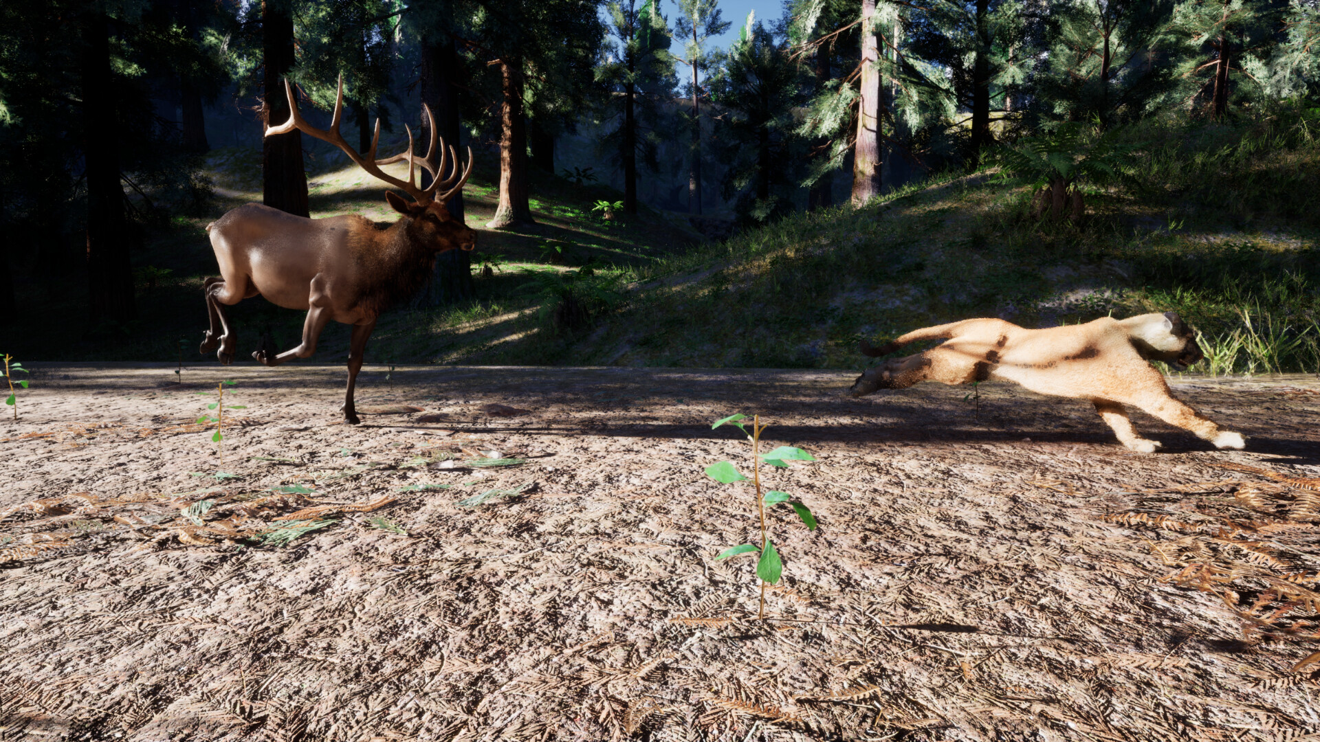 Redwood Trails screenshot #3