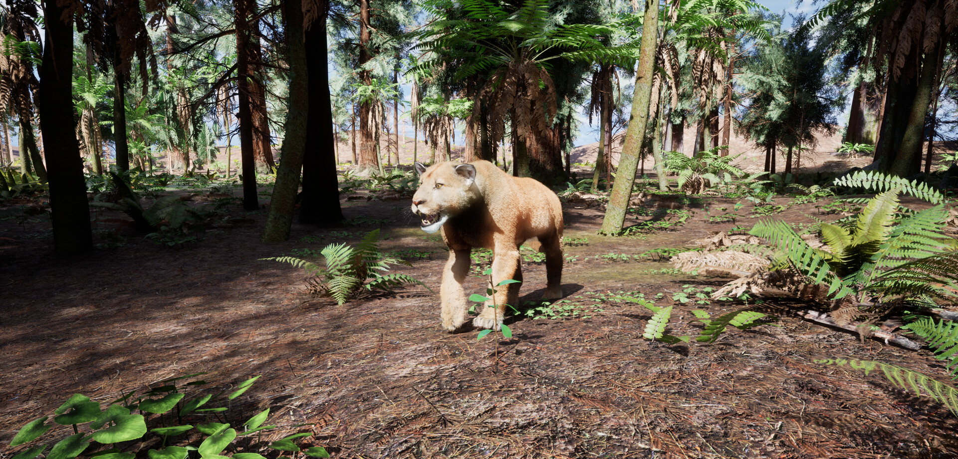 Redwood Trails Featured Screenshot #1