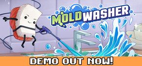Moldwasher