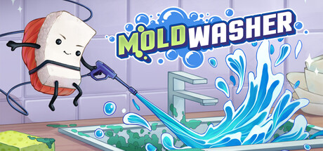 Moldwasher