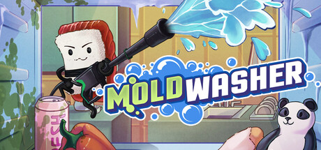 Moldwasher