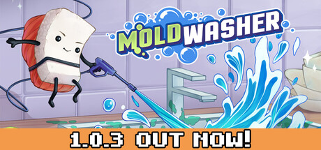 Moldwasher