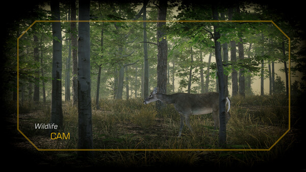 Deer Hunting Camp