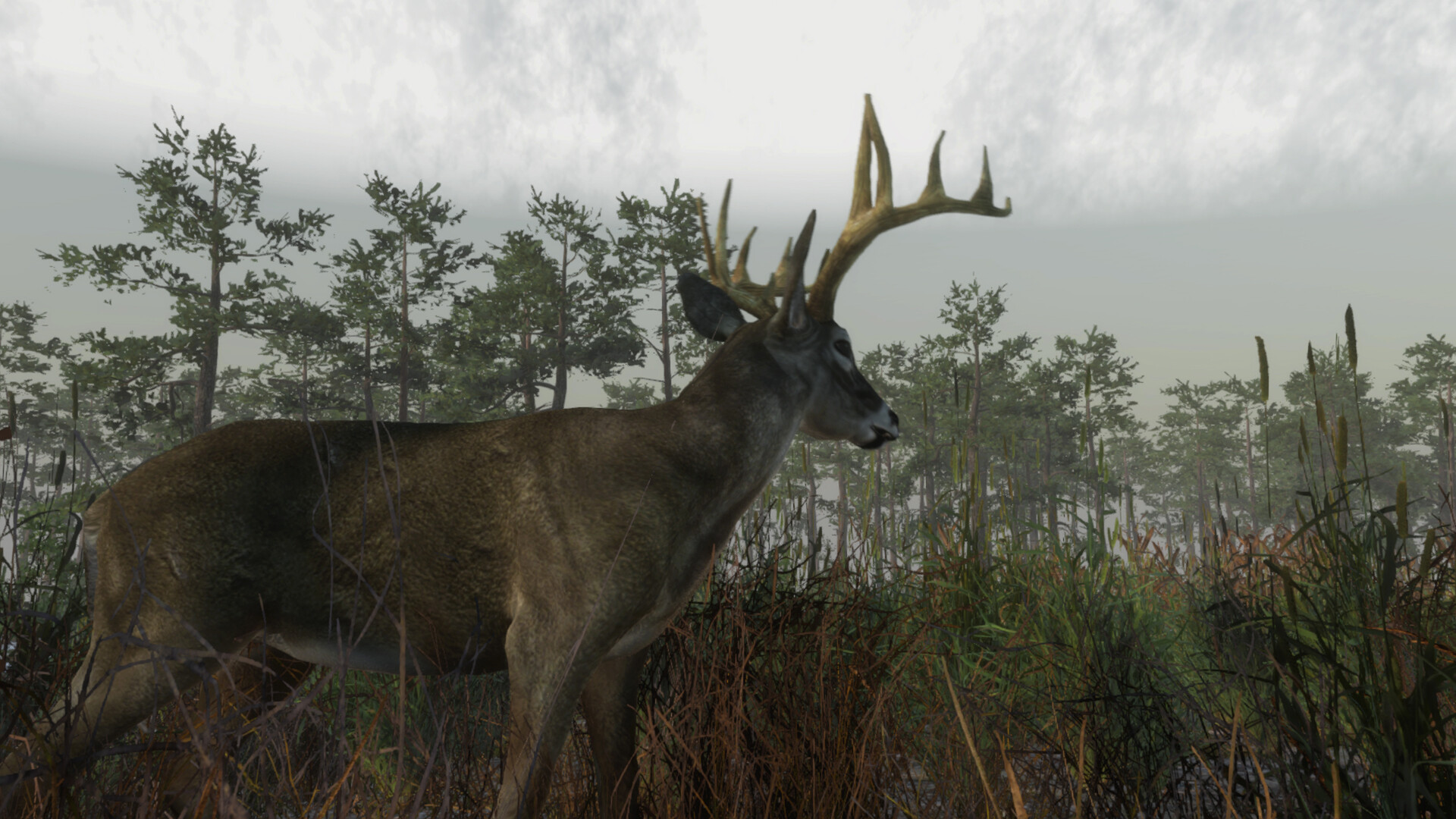Deer Hunting Camp Featured Screenshot #1