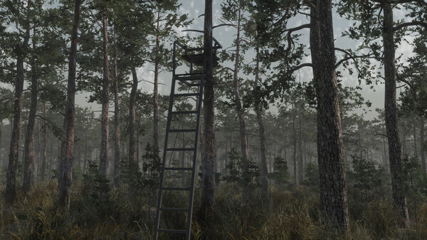 Deer Hunting Camp