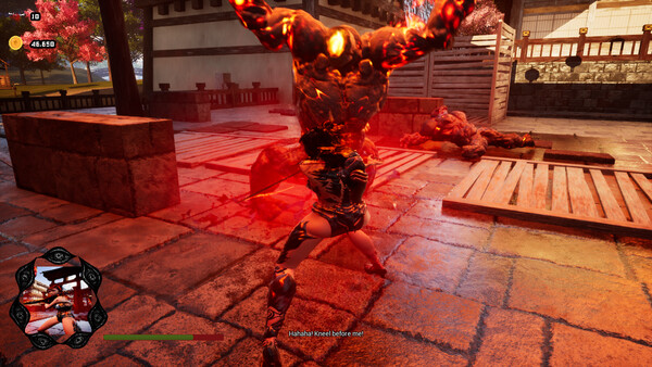 Pure Instinct Katana screenshot 2