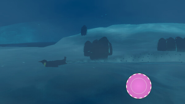 Penguin Colony