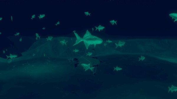 Penguin Colony