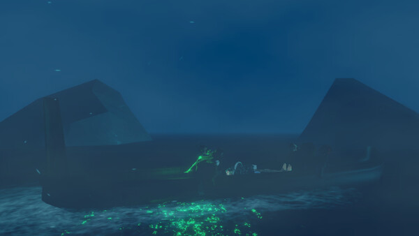 Penguin Colony