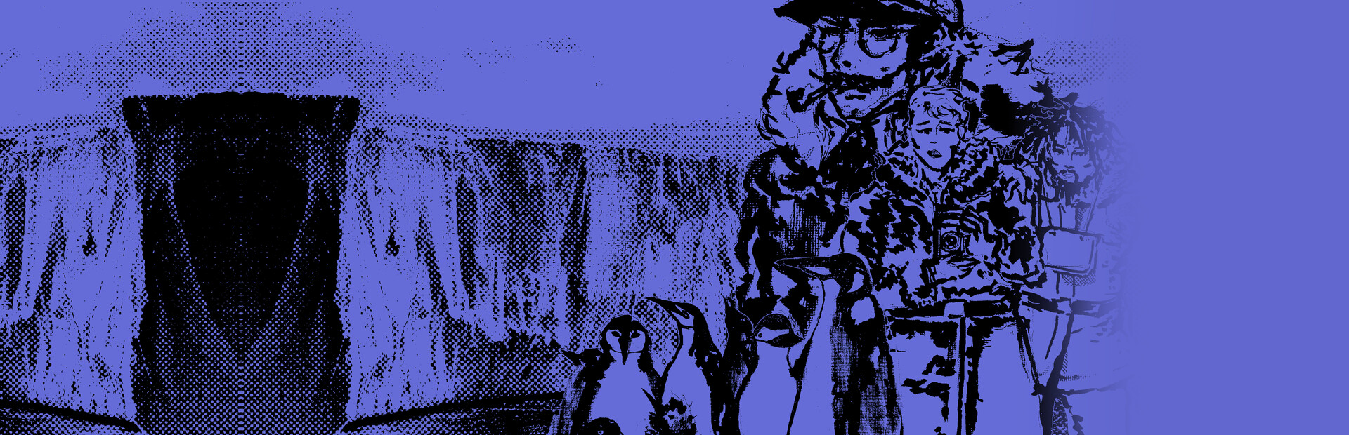 Penguin Colony