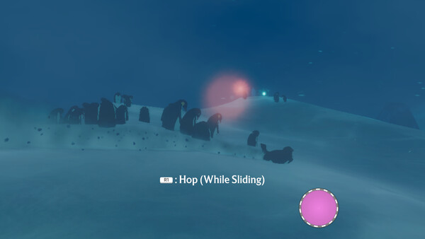 Penguin Colony