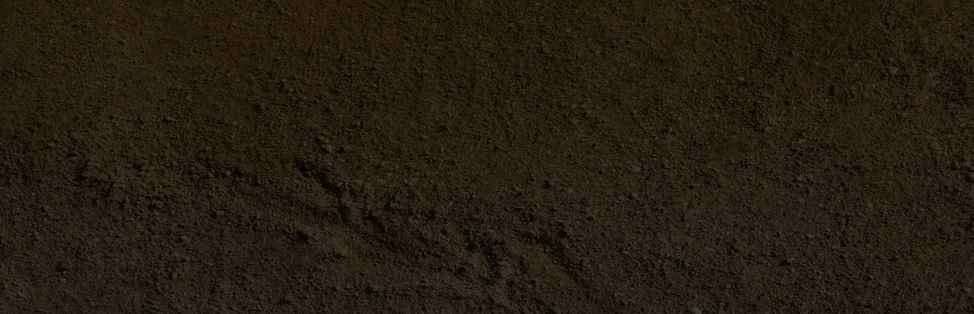 Sub Terra
