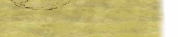 Escape the Desert video 4