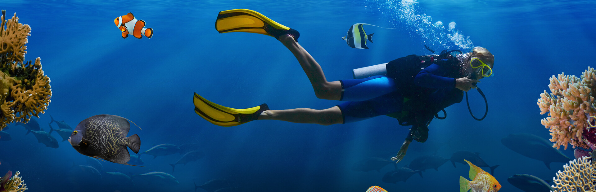 Sea Life Explorer Collector's Edition
