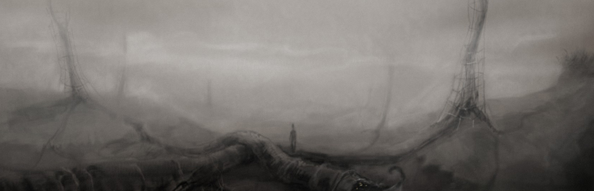 The Void