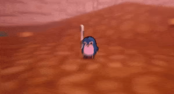 Penguin Gladiators video 3