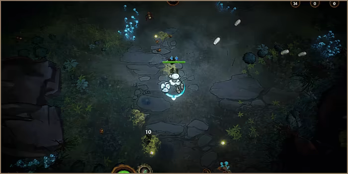 Mycofall video 5