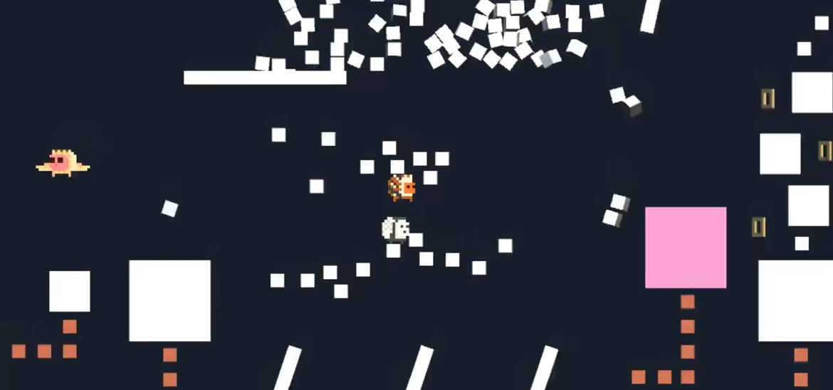 Lion Quest video 2